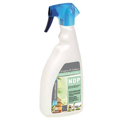 DEGRAISS CLEAN MOUSSE 750 ml